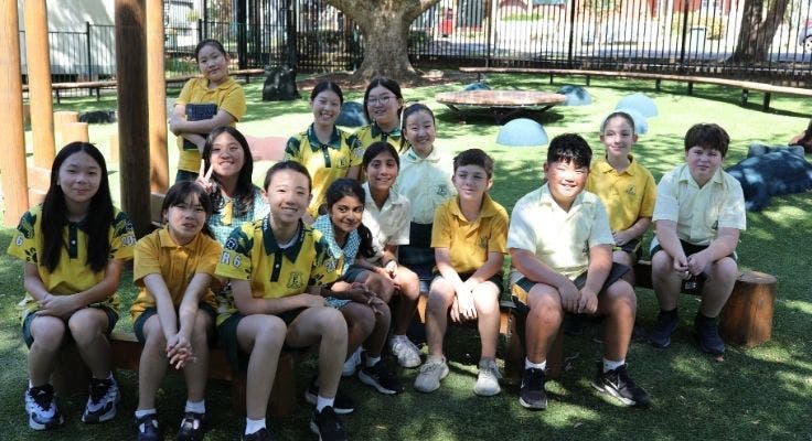 Copy of DA - Card Carousel - Students 3